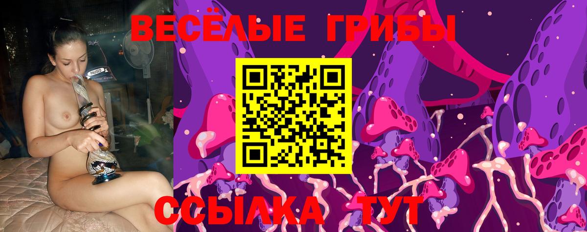 Сорочинск  Псилоцибиновые грибы прущие грибы  цены наркотик  Вход с VPN 